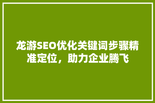 龙游SEO优化关键词步骤精准定位，助力企业腾飞