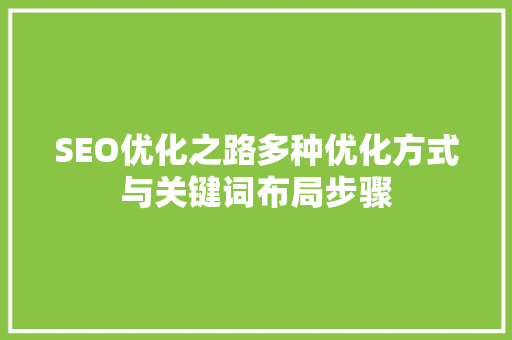SEO优化之路多种优化方式与关键词布局步骤