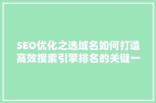SEO优化之选域名如何打造高效搜索引擎排名的关键一步