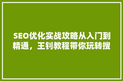 SEO优化实战攻略从入门到精通，王钊教程带你玩转搜索引擎营销