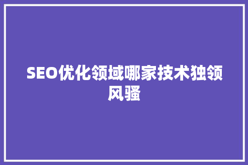 SEO优化领域哪家技术独领风骚