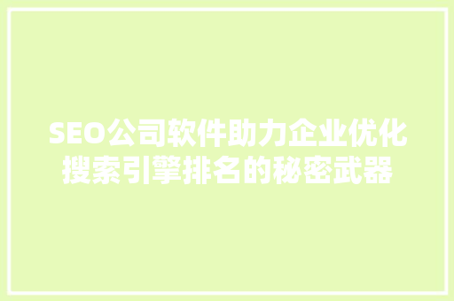 SEO公司软件助力企业优化搜索引擎排名的秘密武器