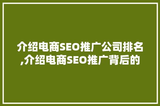 介绍电商SEO推广公司排名,介绍电商SEO推广背后的秘密