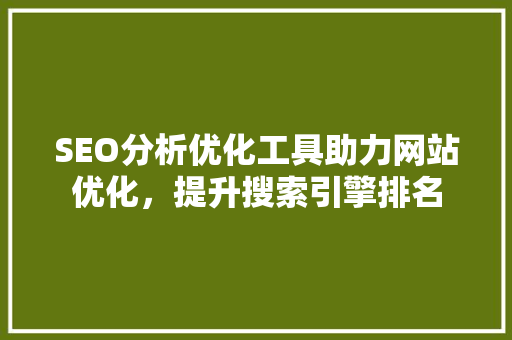 SEO分析优化工具助力网站优化，提升搜索引擎排名