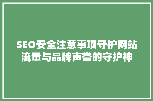 SEO安全注意事项守护网站流量与品牌声誉的守护神
