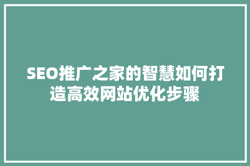 SEO推广之家的智慧如何打造高效网站优化步骤
