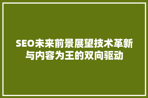 SEO未来前景展望技术革新与内容为王的双向驱动