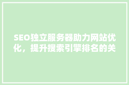 SEO独立服务器助力网站优化，提升搜索引擎排名的关键选择  第1张