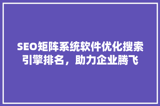 SEO矩阵系统软件优化搜索引擎排名，助力企业腾飞