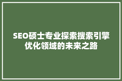 SEO硕士专业探索搜索引擎优化领域的未来之路