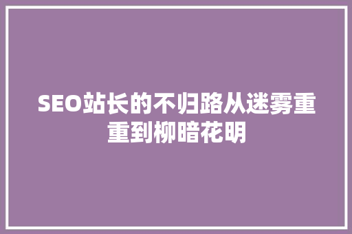 SEO站长的不归路从迷雾重重到柳暗花明  第1张