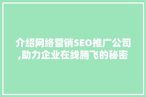 介绍网络营销SEO推广公司,助力企业在线腾飞的秘密武器