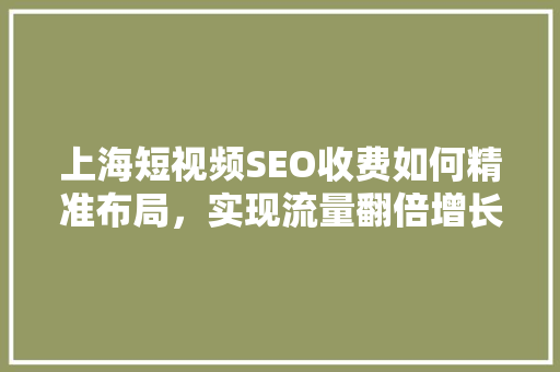 上海短视频SEO收费如何精准布局，实现流量翻倍增长