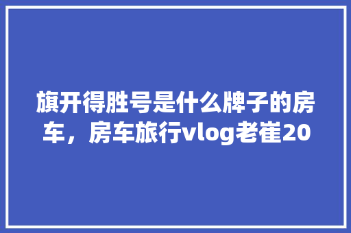 SEO专员,网络时代的数字领航者