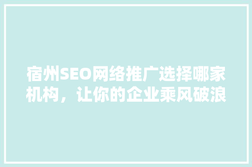 宿州SEO网络推广选择哪家机构，让你的企业乘风破浪