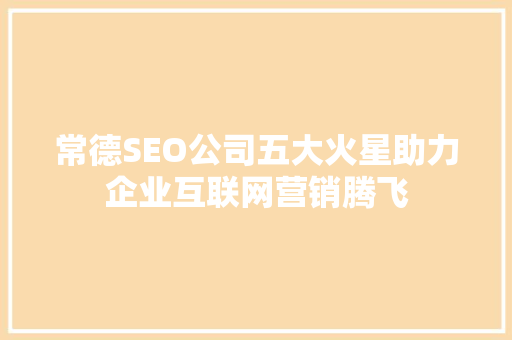 常德SEO公司五大火星助力企业互联网营销腾飞