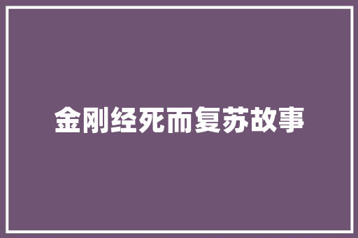 忻州SEO公司13火星助力企业网络营销，开启数字化增长新篇章