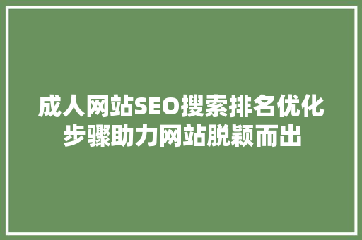 成人网站SEO搜索排名优化步骤助力网站脱颖而出