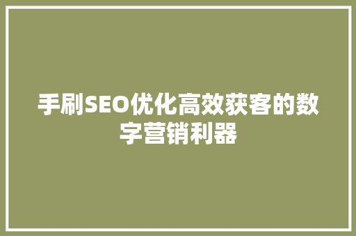 手刷SEO优化高效获客的数字营销利器