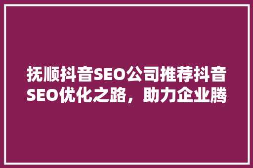 抚顺抖音SEO公司推荐抖音SEO优化之路，助力企业腾飞