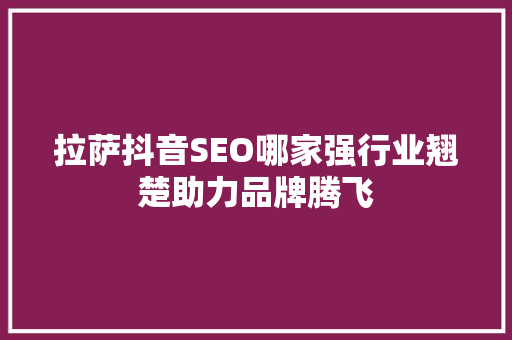 拉萨抖音SEO哪家强行业翘楚助力品牌腾飞
