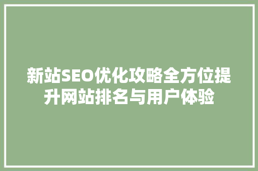 新站SEO优化攻略全方位提升网站排名与用户体验