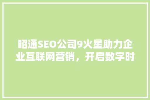 昭通SEO公司9火星助力企业互联网营销，开启数字时代新篇章