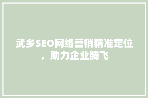 武乡SEO网络营销精准定位，助力企业腾飞