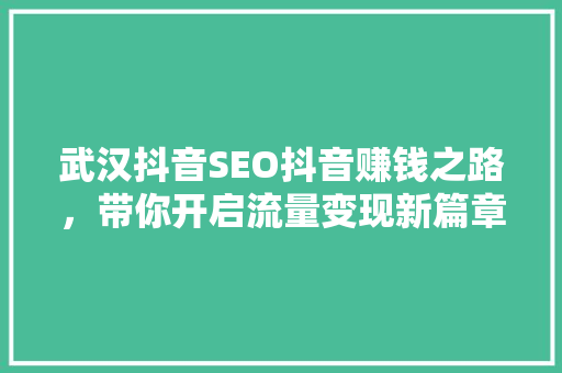 武汉抖音SEO抖音赚钱之路，带你开启流量变现新篇章