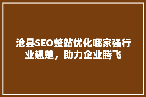 沧县SEO整站优化哪家强行业翘楚，助力企业腾飞