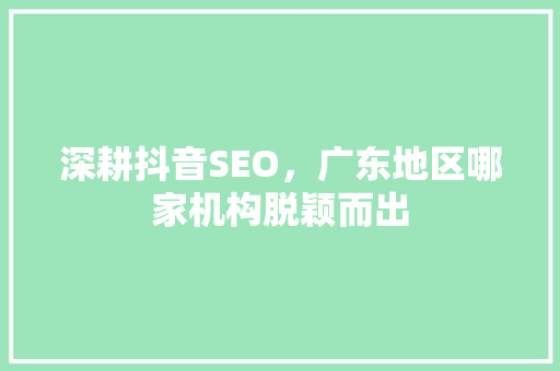 深耕抖音SEO，广东地区哪家机构脱颖而出