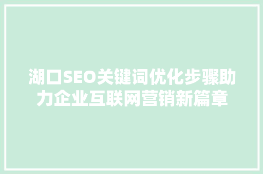 湖口SEO关键词优化步骤助力企业互联网营销新篇章