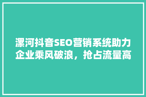 漯河抖音SEO营销系统助力企业乘风破浪，抢占流量高地  第1张