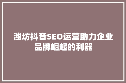 潍坊抖音SEO运营助力企业品牌崛起的利器