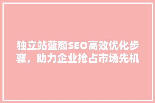 独立站蓝颜SEO高效优化步骤，助力企业抢占市场先机