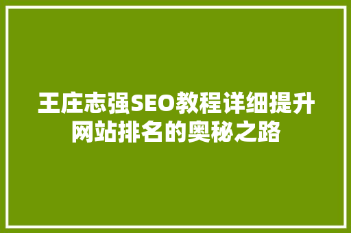 王庄志强SEO教程详细提升网站排名的奥秘之路