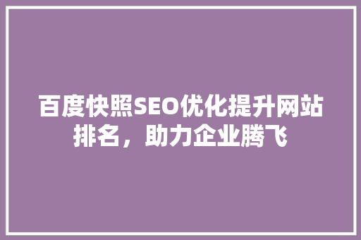 百度快照SEO优化提升网站排名，助力企业腾飞
