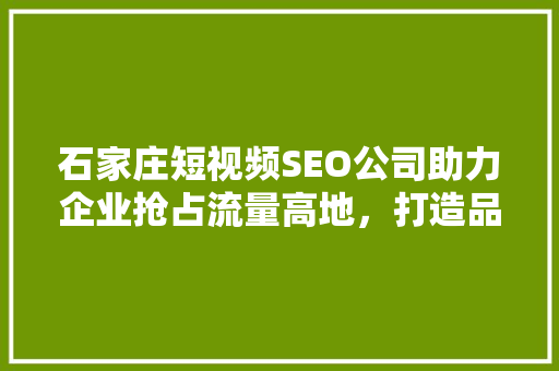 石家庄短视频SEO公司助力企业抢占流量高地，打造品牌新生态