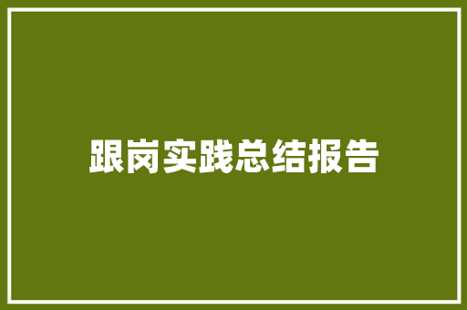 福州抖音SEO优化助力企业乘风破浪，抢占短视频营销高地
