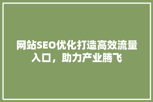 网站SEO优化打造高效流量入口，助力产业腾飞