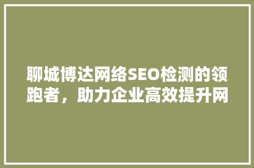 聊城博达网络SEO检测的领跑者，助力企业高效提升网站排名