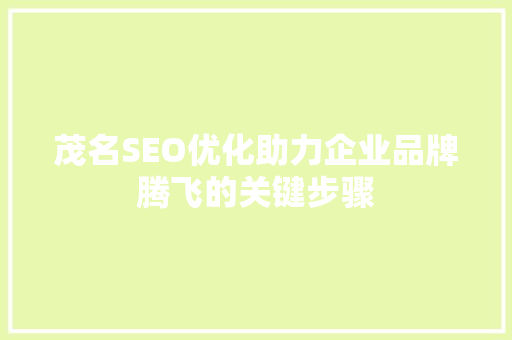 茂名SEO优化助力企业品牌腾飞的关键步骤