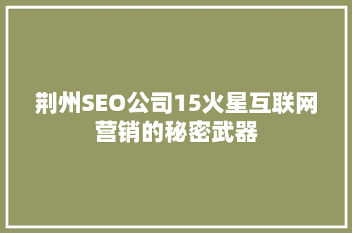 荆州SEO公司15火星互联网营销的秘密武器