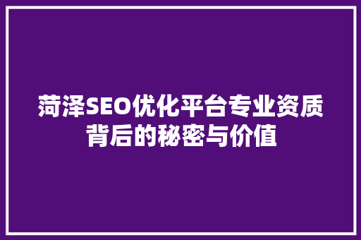 菏泽SEO优化平台专业资质背后的秘密与价值