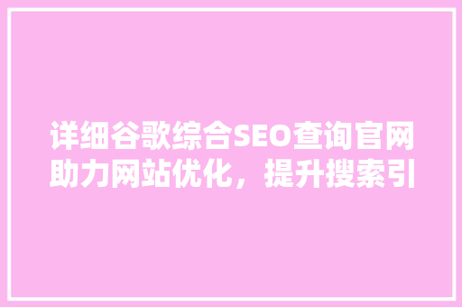 详细谷歌综合SEO查询官网助力网站优化，提升搜索引擎排名