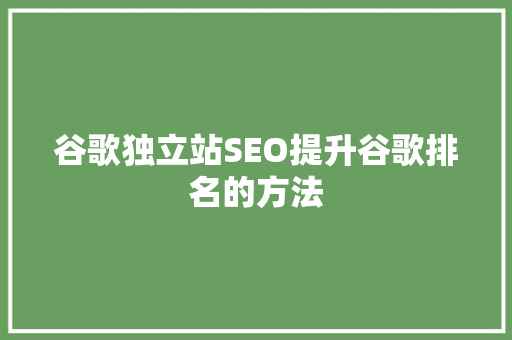 谷歌独立站SEO提升谷歌排名的方法