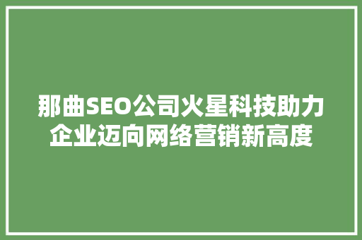 那曲SEO公司火星科技助力企业迈向网络营销新高度
