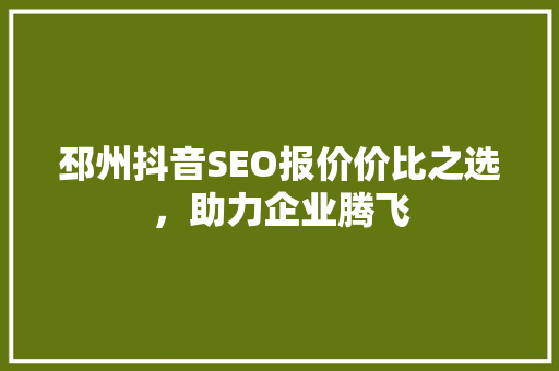 邳州抖音SEO报价价比之选，助力企业腾飞