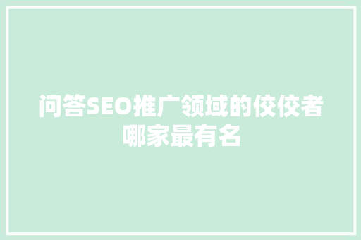 问答SEO推广领域的佼佼者哪家最有名