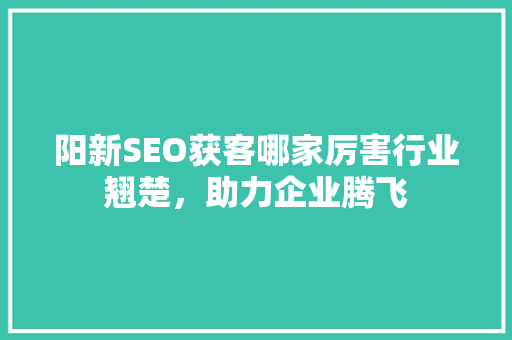 阳新SEO获客哪家厉害行业翘楚，助力企业腾飞